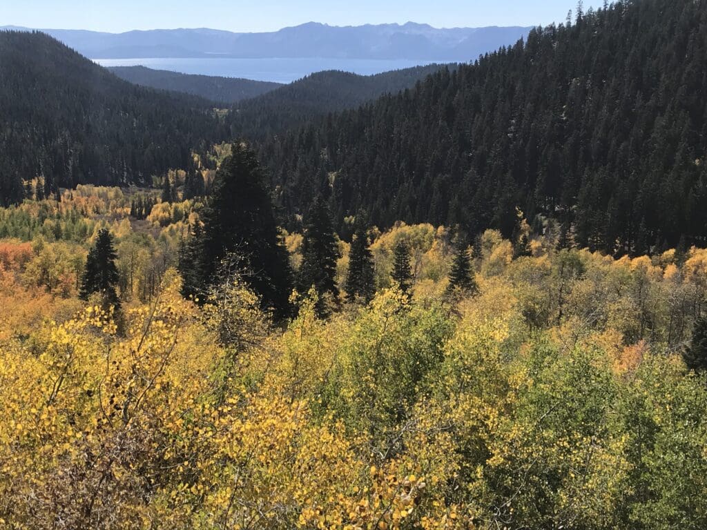 Fall color near Lake Tahoe